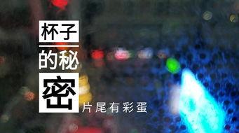 无锡饭店爆料视频最新版,惊人内幕曝光!