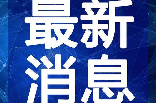 白鸽最新爆料辟谣视频,真相大白,还原事件原貌